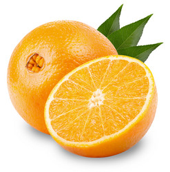 Similar image 2938272