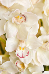 Similar image 2938292