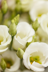 Similar image 2938427