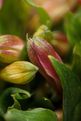 Similar image 2938428