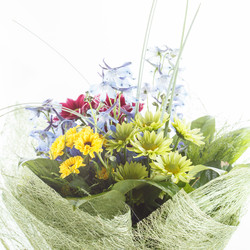 Similar image 2938442