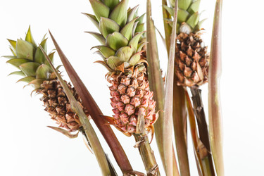 Similar image 2938443