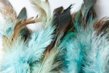 Similar image 2938452