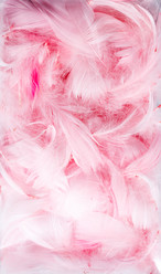 Similar image 2938453