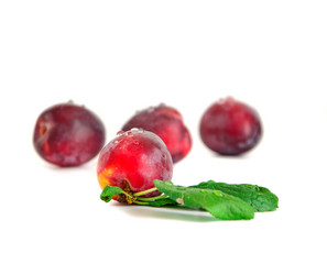 Similar image 2938467