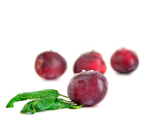 Similar image 2938469