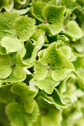 Similar image 2938532