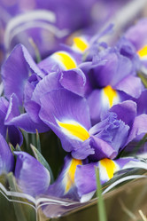 Similar image 2938533