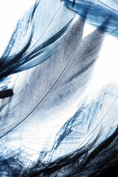 Similar image 2938535