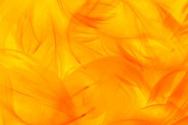 Similar image 2938538