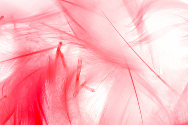 Similar image 2938539