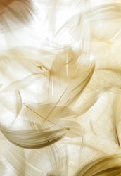 Similar image 2938540