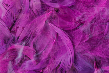 Similar image 2938541