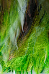 Similar image 2938542