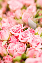 Similar image 2938544