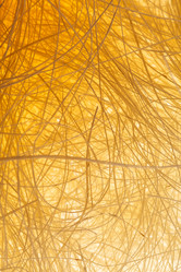 Similar image 2938547