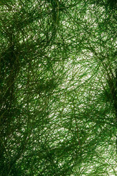 Similar image 2938549