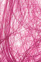 Similar image 2938552