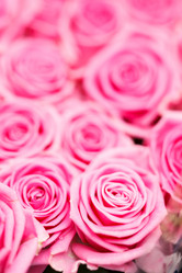 Similar image 2938556