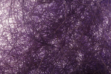 Similar image 2938565