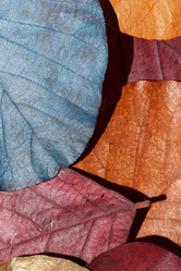 Similar image 2938566