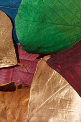 Similar image 2938567