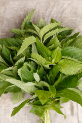 Similar image 2938568