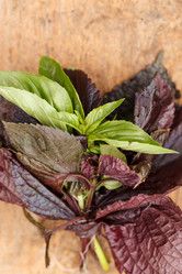 Similar image 2938569