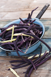 Similar image 2938571