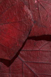 Similar image 2938574