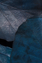 Similar image 2938575