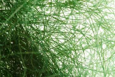 Similar image 2938576