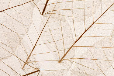 Similar image 2938579