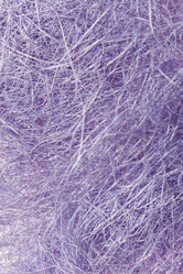 Similar image 2938581