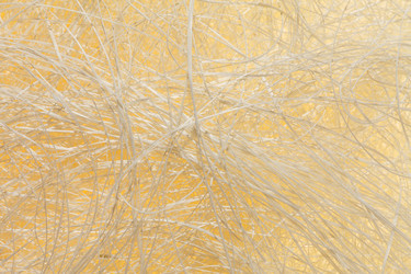 Similar image 2938582