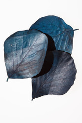 Similar image 2938583