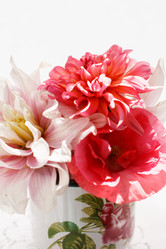 Similar image 2938588