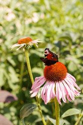 Similar image 2938591