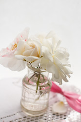 Similar image 2938592