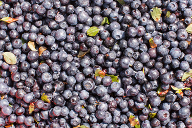 Similar image 2938593