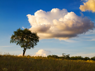 Similar image 2938630