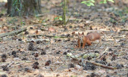 Similar image 2938637