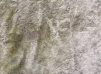 Similar image 2938639