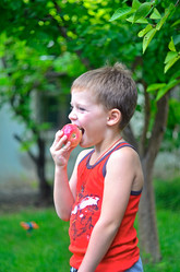 Similar image 2938671