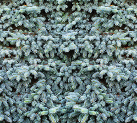 Similar image 2938724