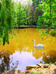 Similar image 2938739