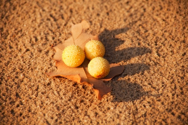 Similar image 2938789