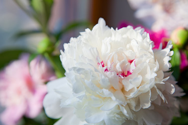 Similar image 2938795