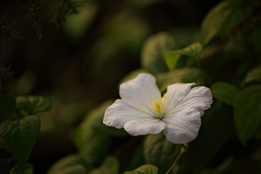 Similar image 2938797