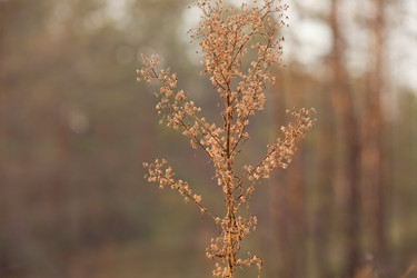 Similar image 2938815